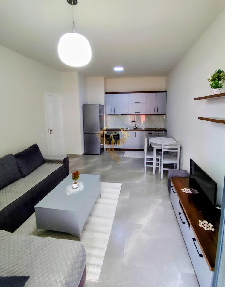 1+1 Apartment for rent near QSUT