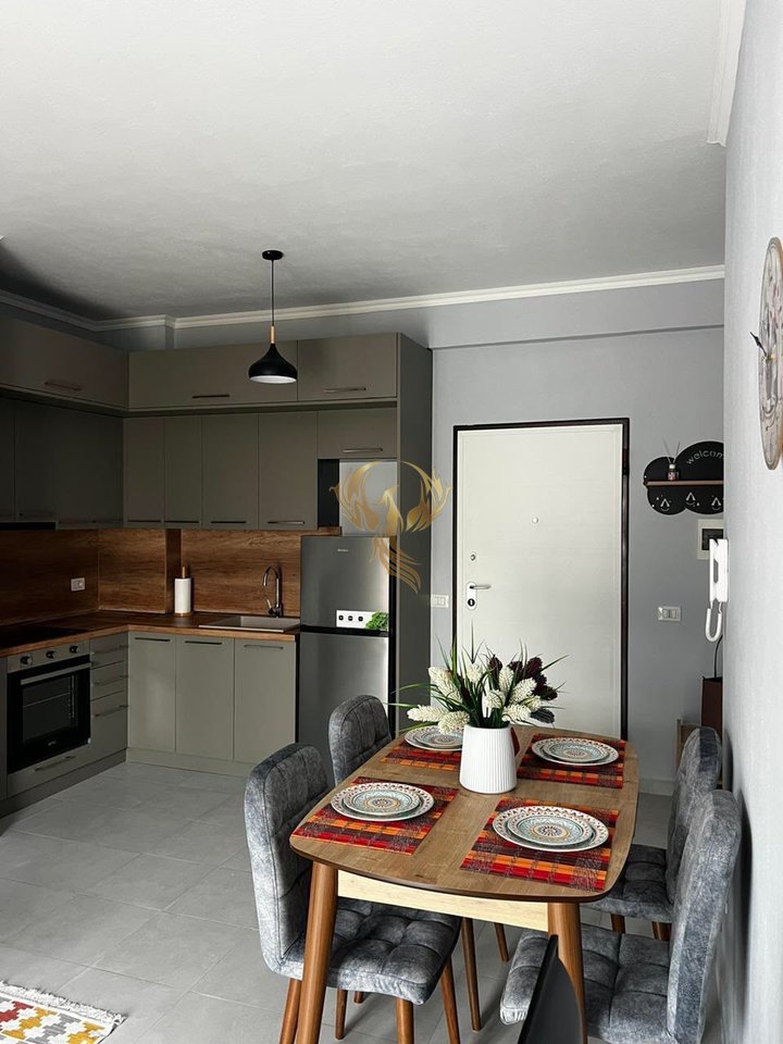 Affittasi Appartamento 1+1+Balcone Camino Tirana