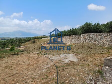 SHITET NDERTESA +TRUALLI NË TRAGJAS,VLORË