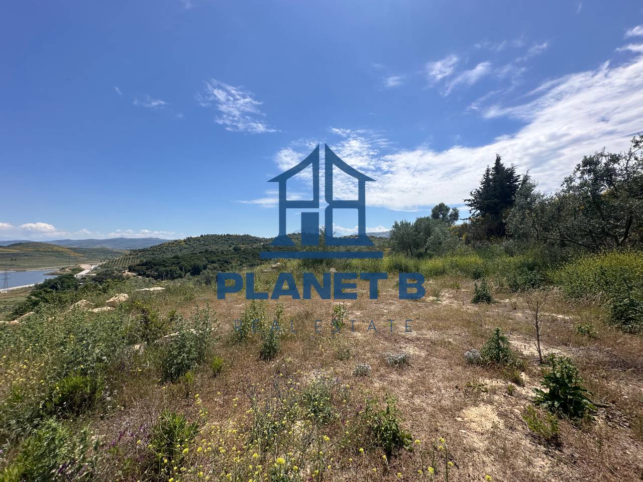 Terreno uliveto 7.000 m² nel bypass di Valona