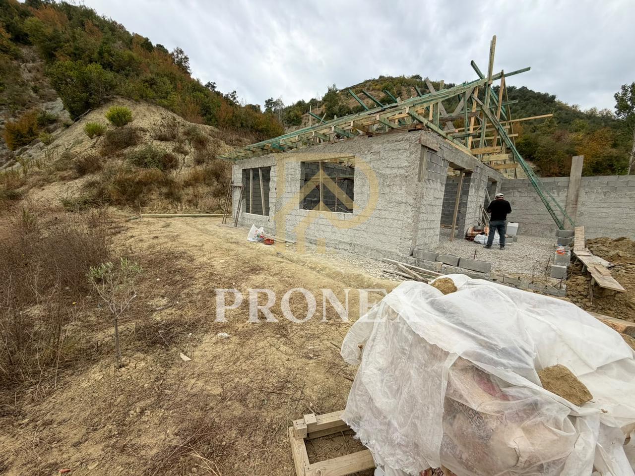 Vilë për shitje në Pezë - Helmes, Tiranë - € 290,000