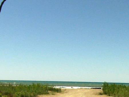 Shitet Toke Truall Kune-Shengjin