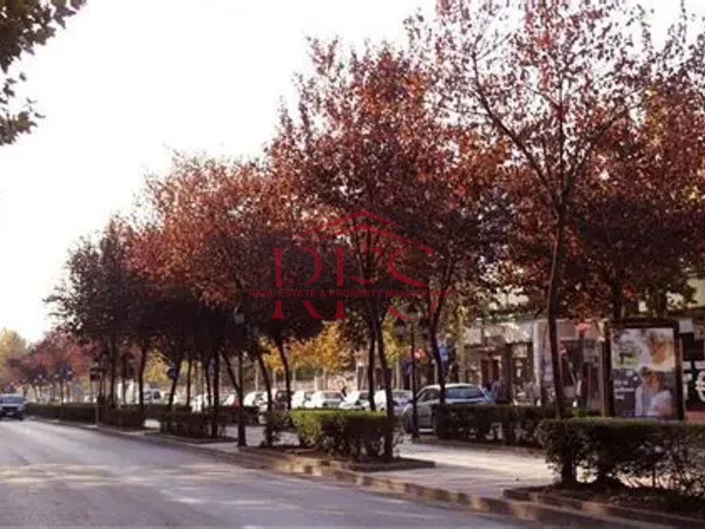 Gallery 01