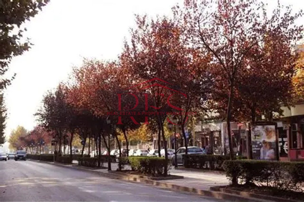 📍 Business premises for rent – Kavaja Street