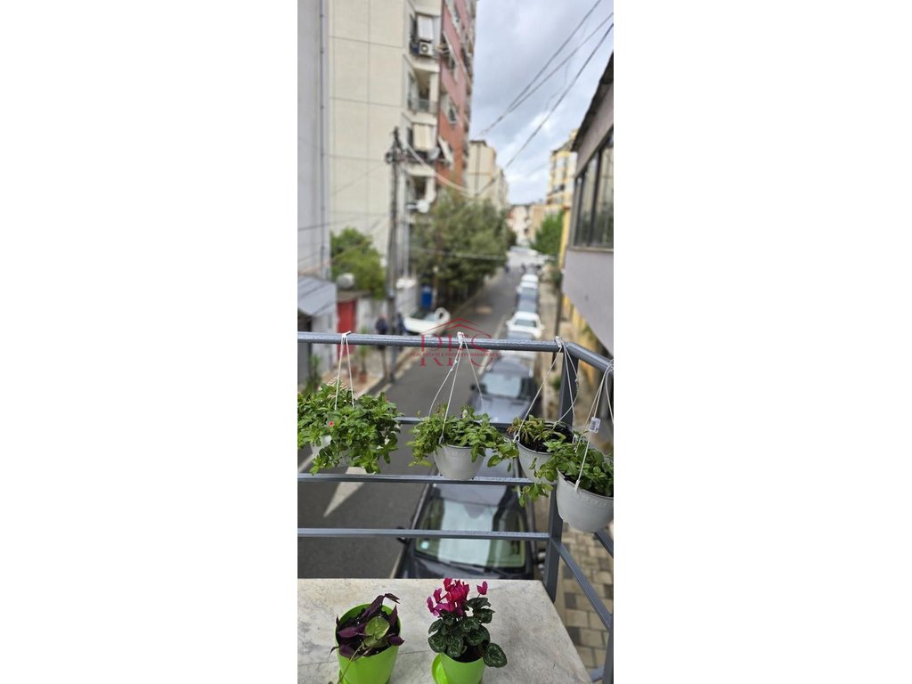 Gallery 01