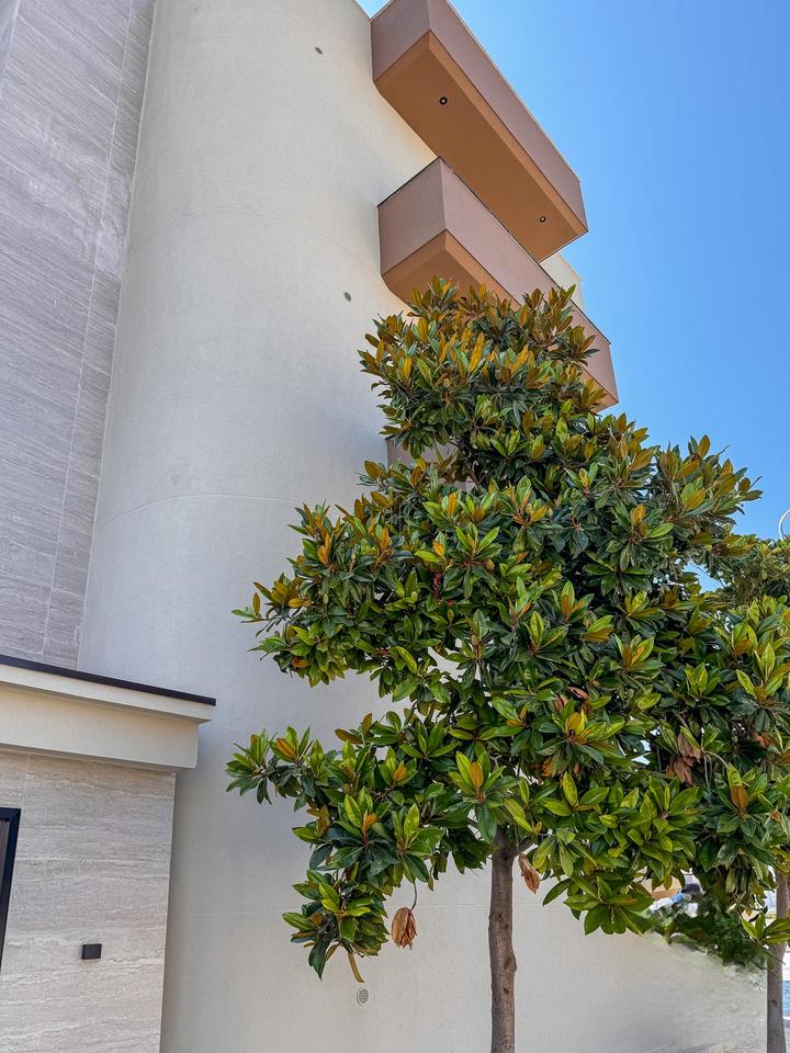 Residenza Bianca – Ksamil-Appartamento 4
