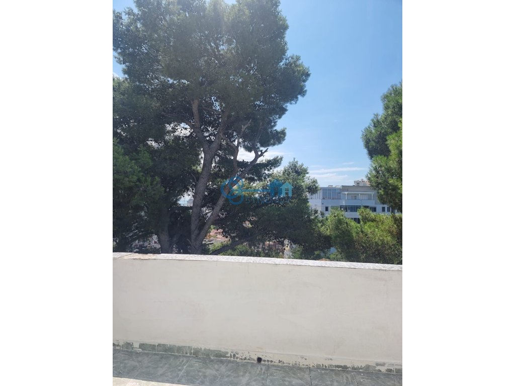 property-4