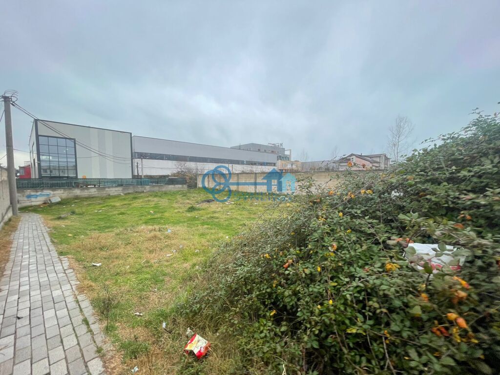 property-4