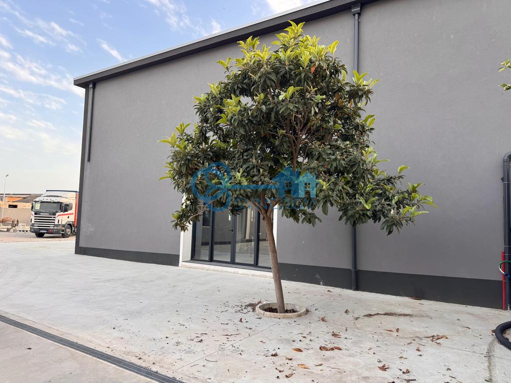 property-4