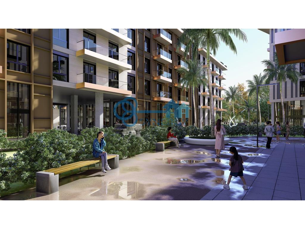 property-4