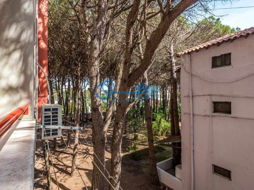 property-4