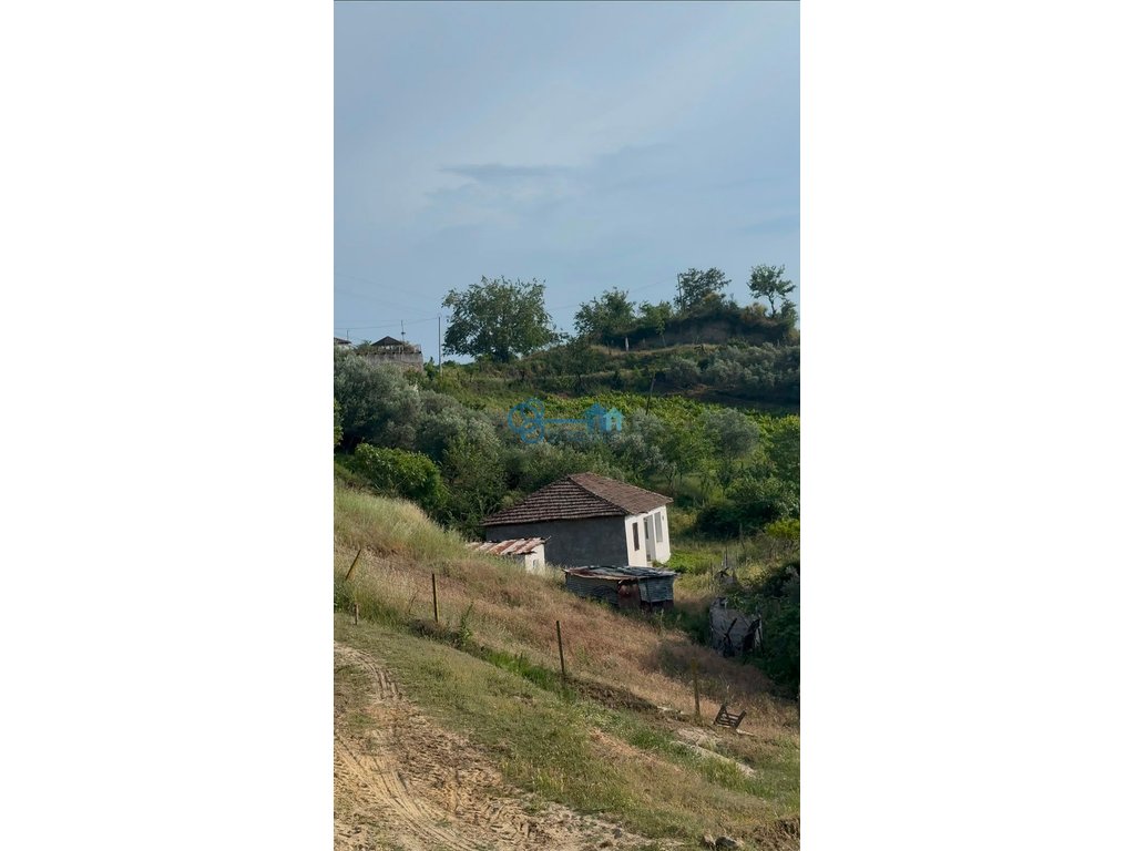property-4