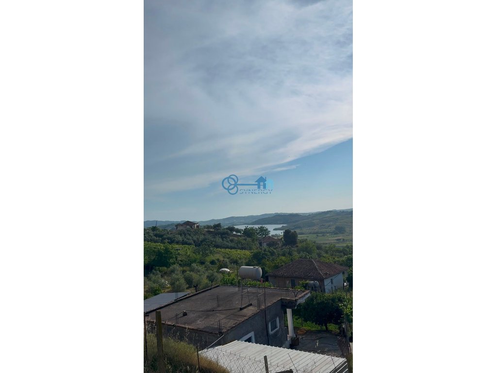 property-4