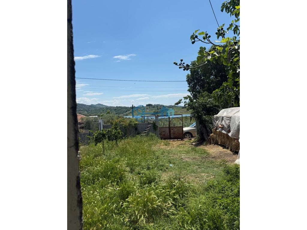 property-4