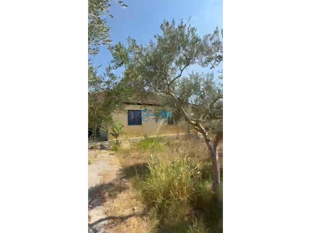 property-box