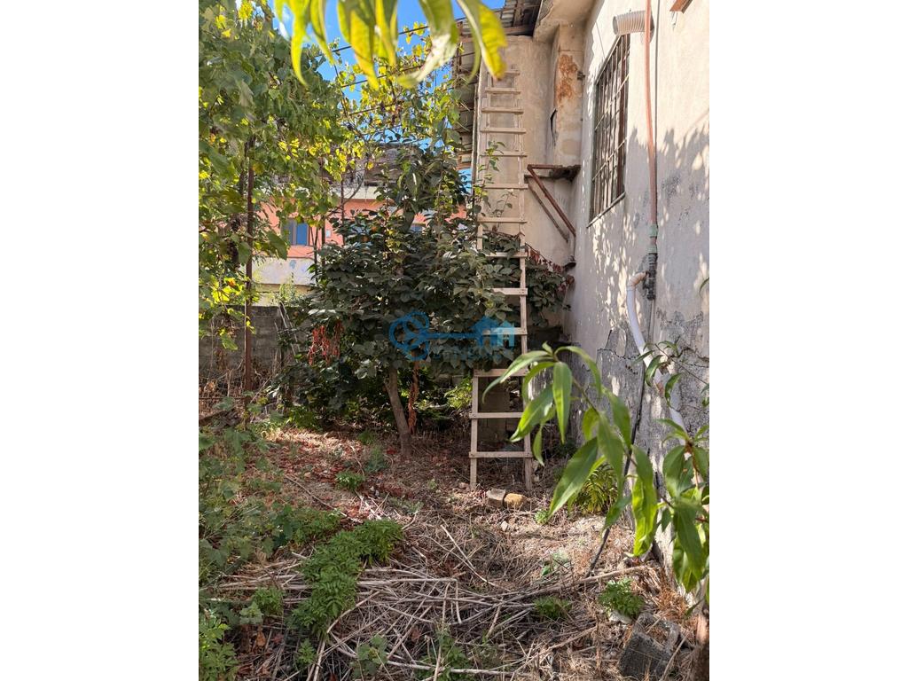 property-4