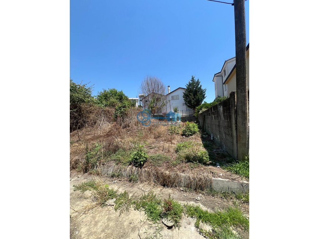 property-4