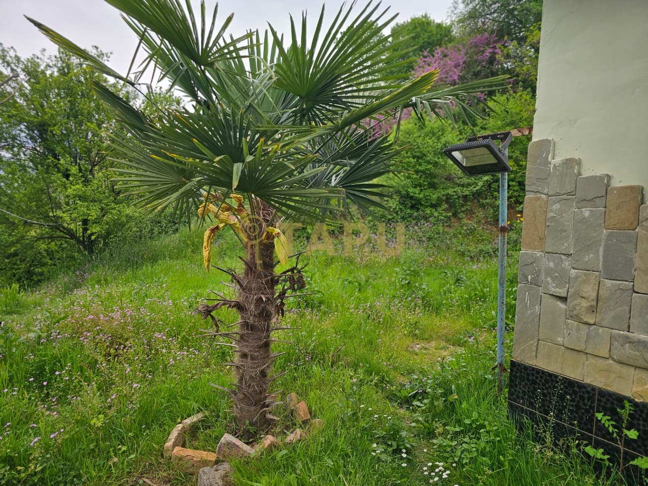 SHITET SHTEPI PRIVATE NE PRUSH (GROPAJ)