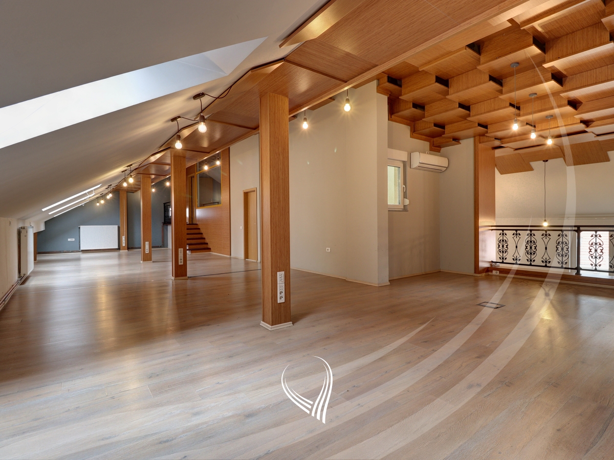 Office 203m2 + 60m2 terrace for rent in Dodona neighborhood3