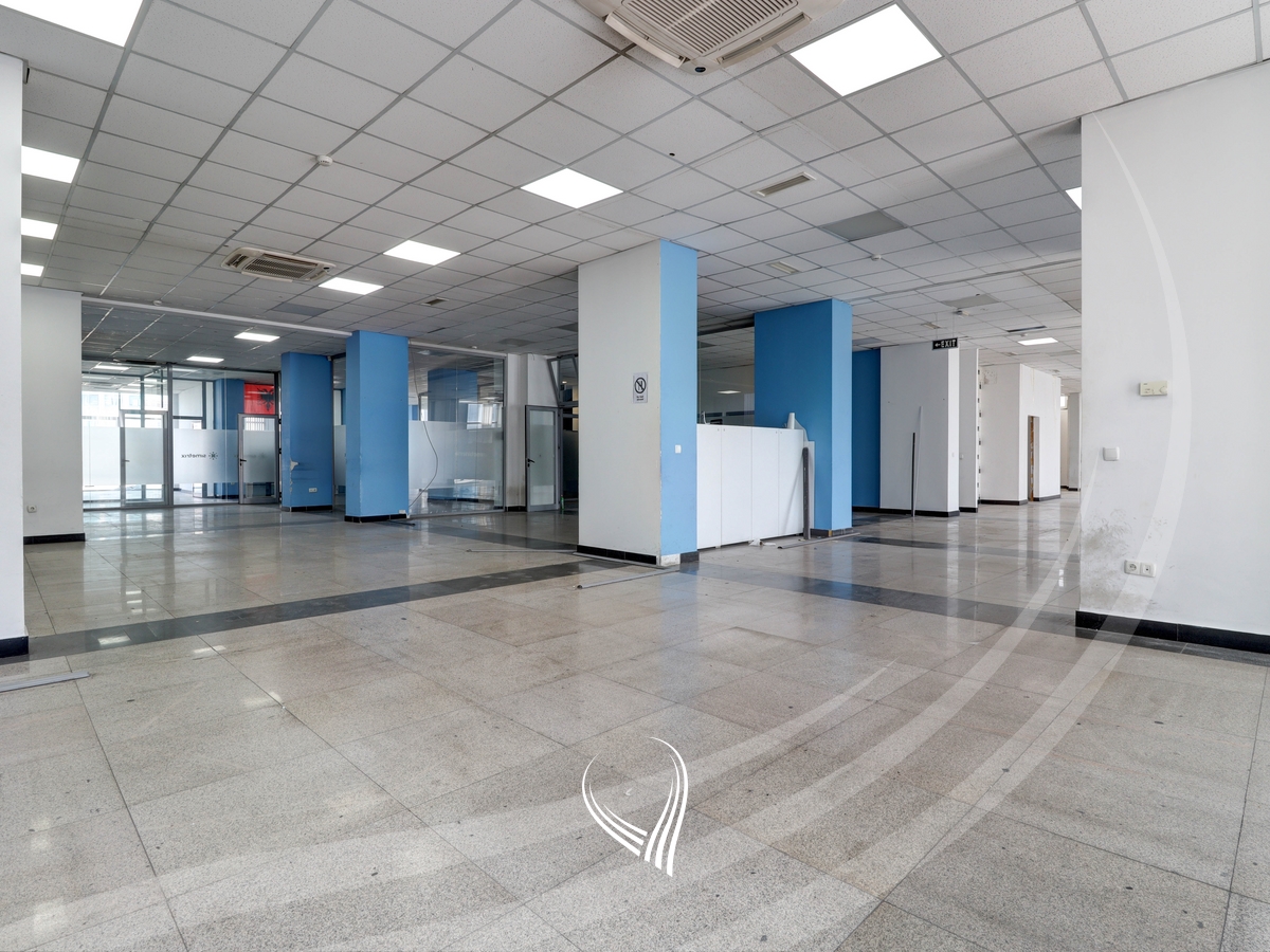 Zyre 934m2 for rent in the Pejton neighborhood8