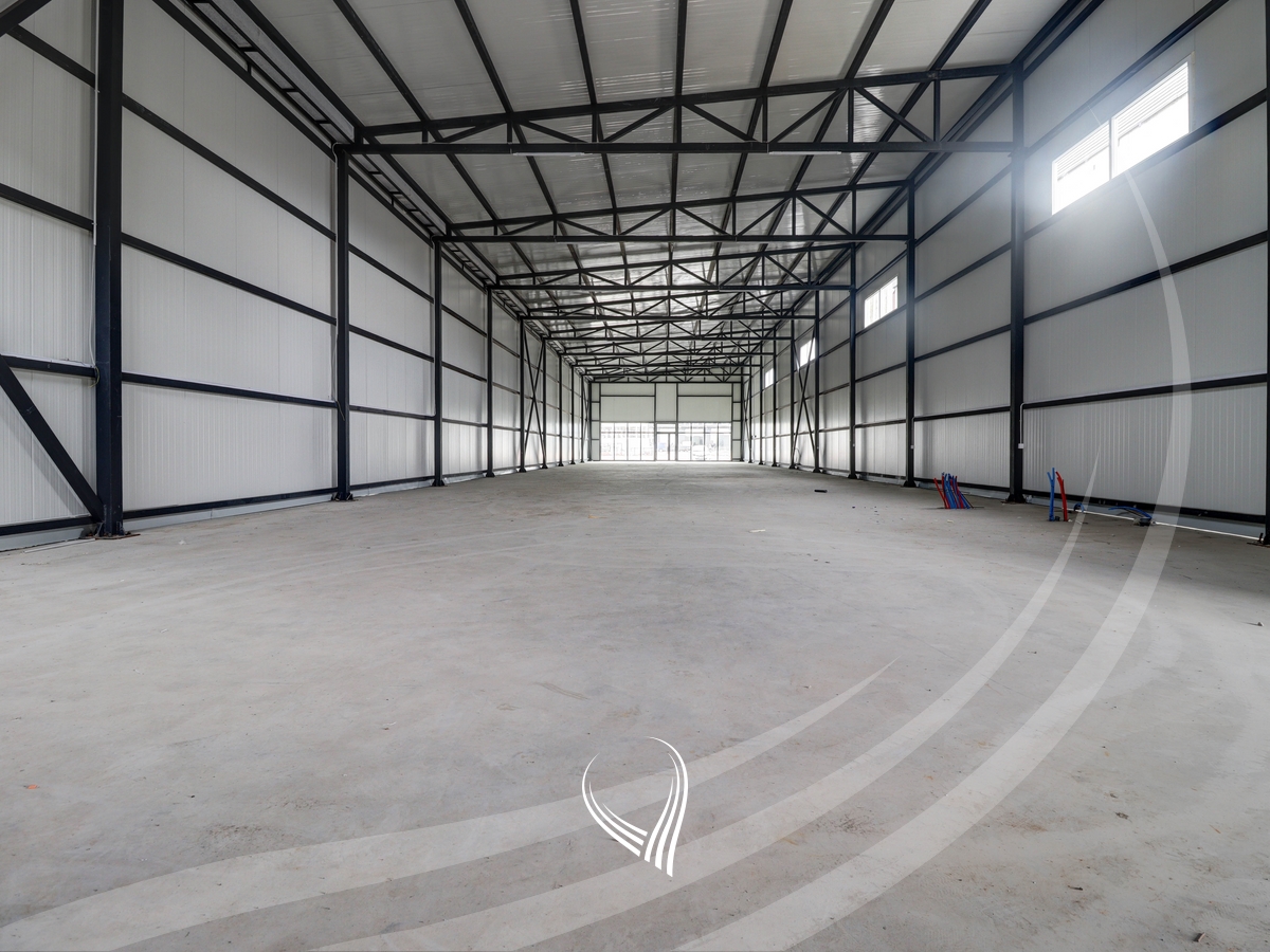 Warehouse 630m2 for rent in Suhadoll1