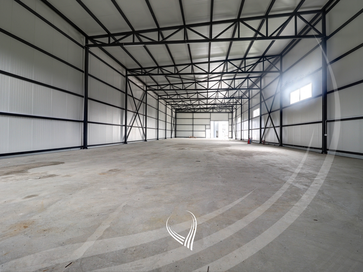 620m2 warehouse for rent in Suhadoll3
