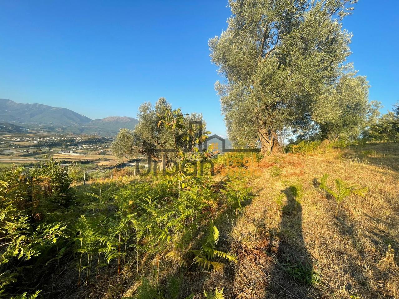 For sale, Land, in Dabresh, Tirana - €132,000 | 1650 m²