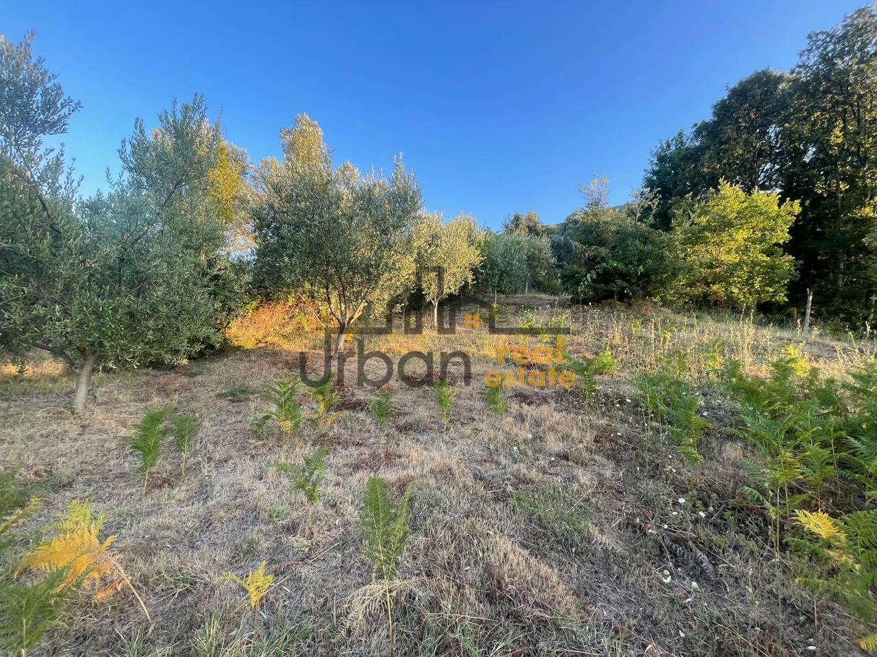 For sale, Land, in Dabresh, Tirana - €132,000 | 1650 m²