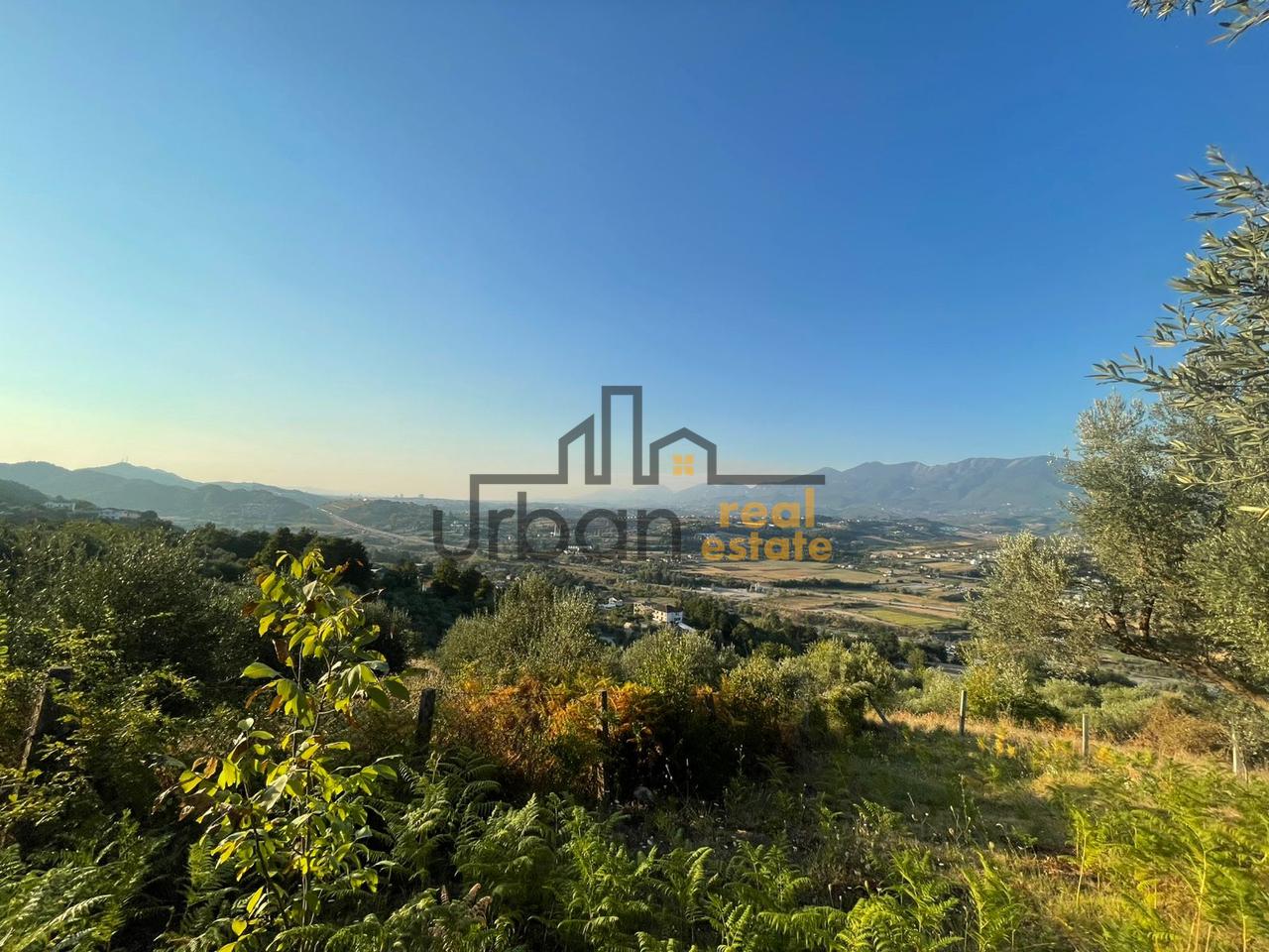 For sale, Land, in Dabresh, Tirana - €132,000 | 1650 m²