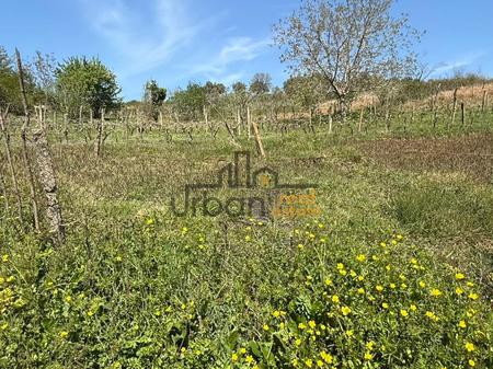 Shitet, Tokë ,Lundër, Tiranë - 400000€ | 2714 m²