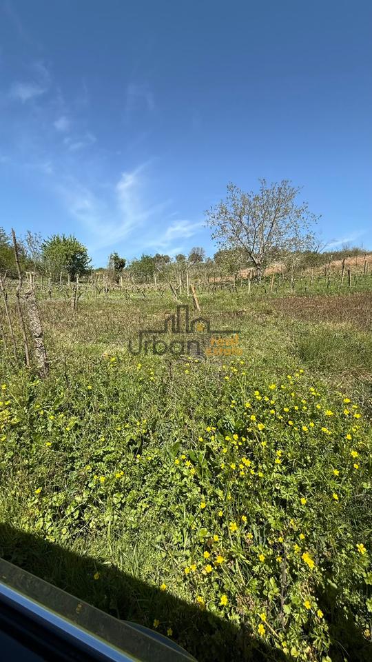 Shitet, Tokë ,Lundër, Tiranë - 400000€ | 2714 m²