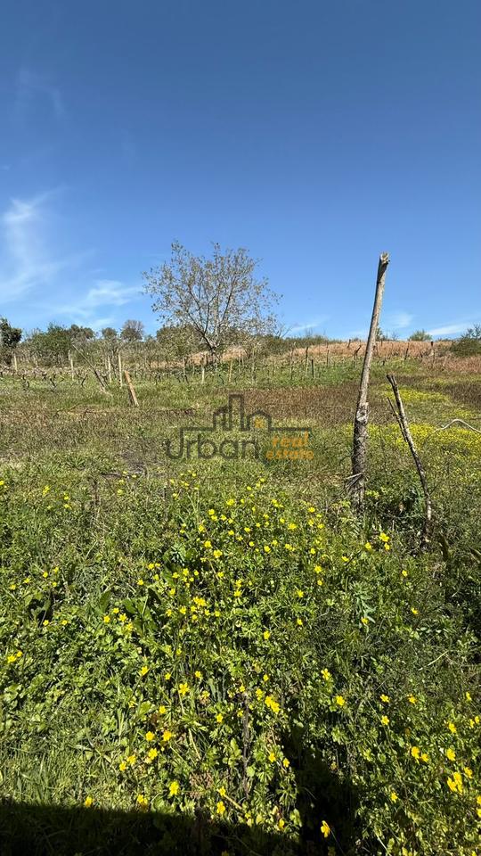 Shitet, Tokë ,Lundër, Tiranë - 400000€ | 2714 m²