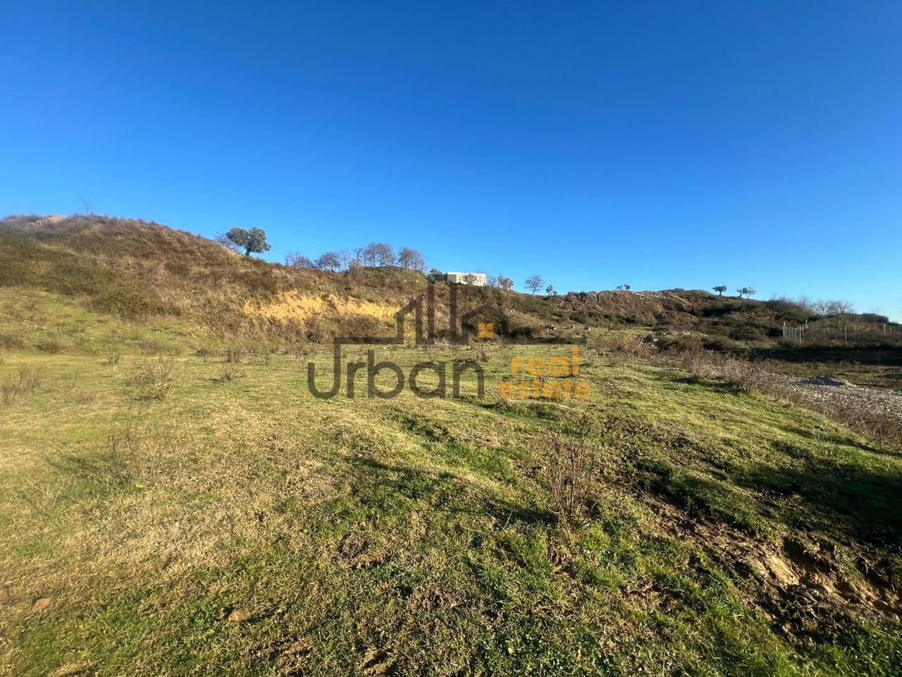 Shitet, Tokë , Yzberish, Tiranë - 210000€ | 3000 m²