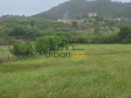 Shitet,  Tokë ,Arbanë , Tiranë - 517,000€ | 4700 m²