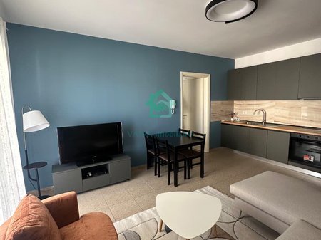 Apartment 1+1 For Rent in Ish Stacioni i Trenit, Tirana -  65,000 lek/month
