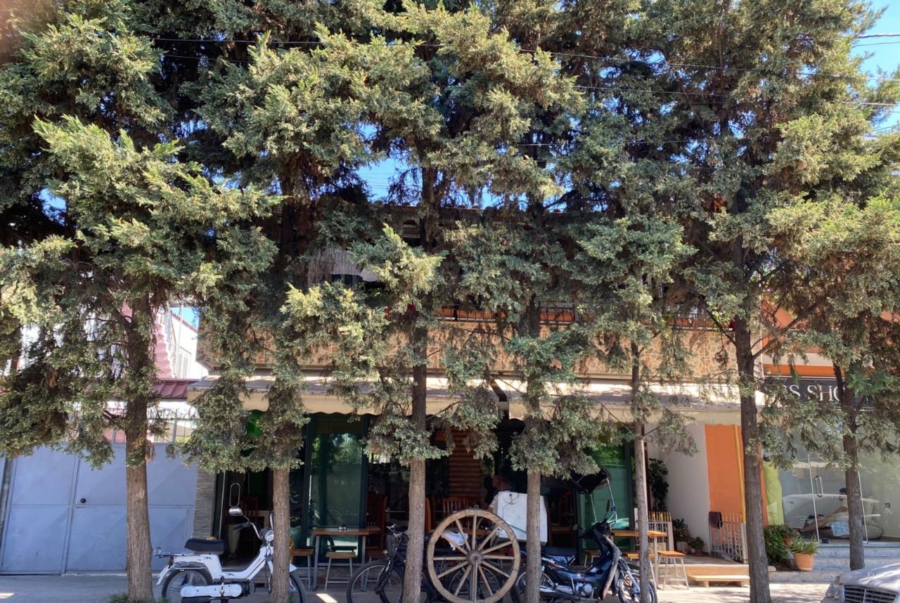 Villa  Attività in vendita presso Dispanseria/via Besa