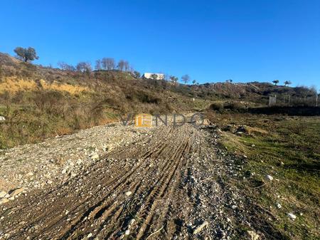 Shitet Toke ne Yzberisht, pranë repartit RENEA
