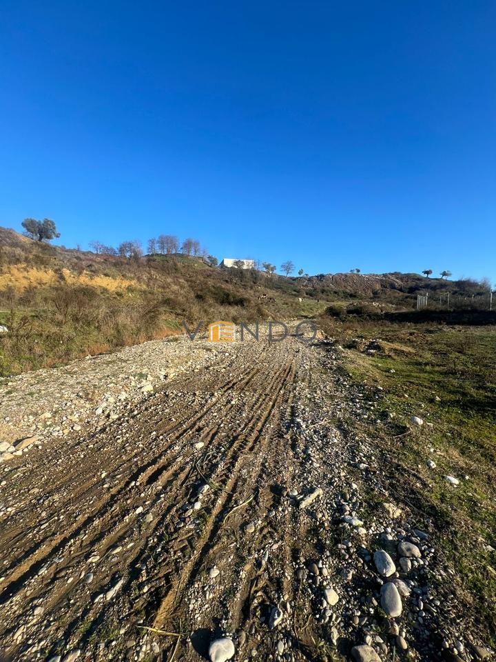 Shitet Toke ne Yzberisht, pranë repartit RENEA