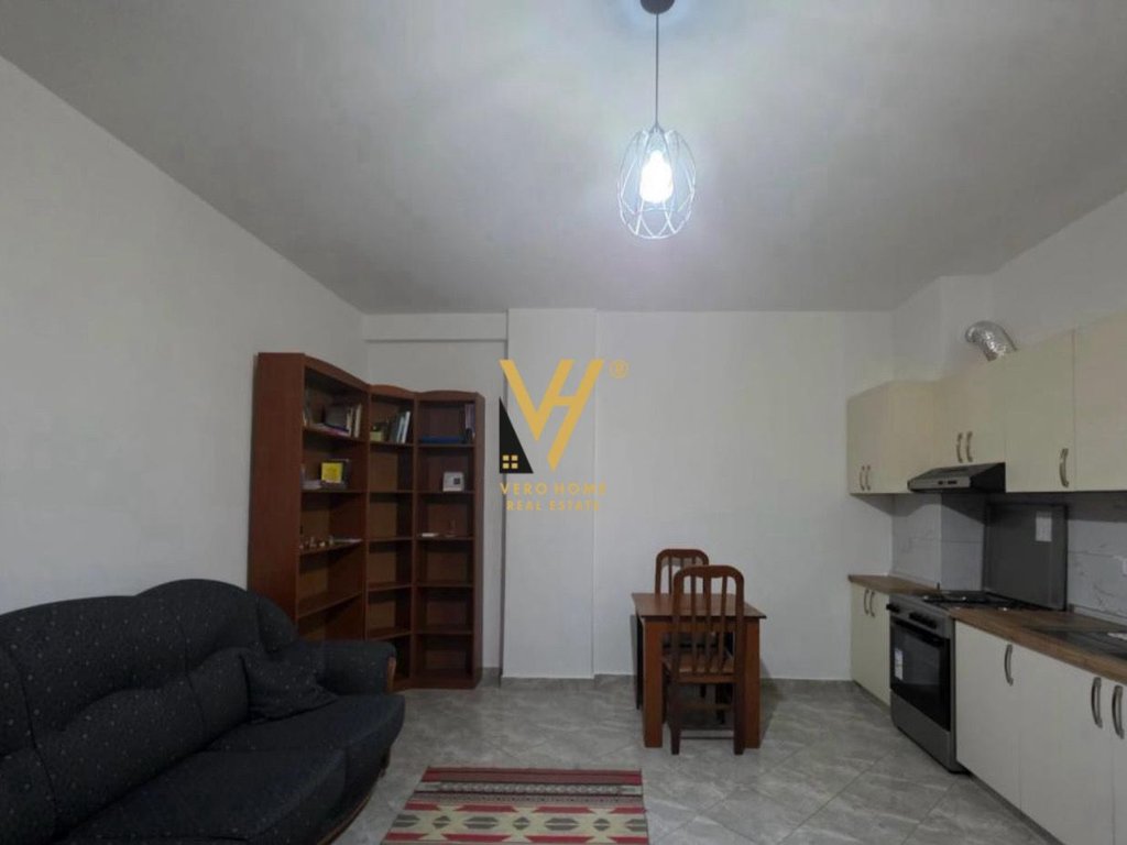 1+1 APARTMENT FOR RENT AT DRY LAKE 430 EURO