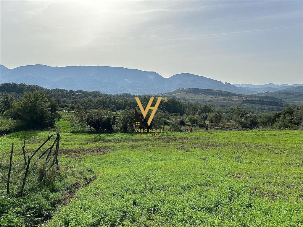 SHITET TRUALL E DHENE PER NDERTIM 37.000 M2 NE LINZE 5.550.000 EURO