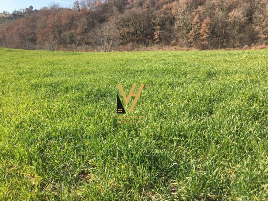 sub-property