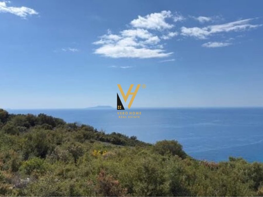 SHITET TOKE ARE 6.000 M2 NE LUKOVE 480.000 EURO