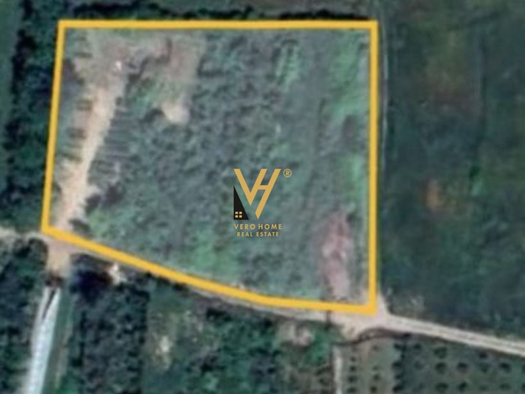 LAND FOR SALE 4,600 M2 IN FARKE TE VOGEL 920,000 EURO