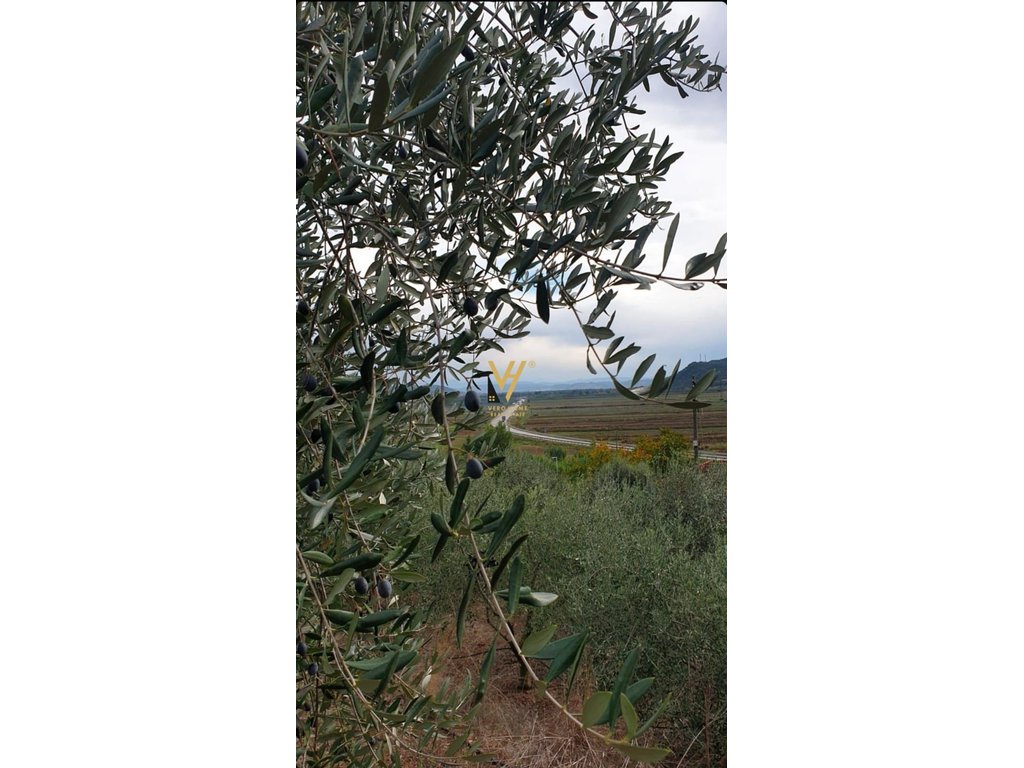 SHITET TOKE ULLISHTE 2.500 M2 NE RROGOZHINE 75.000 EURO