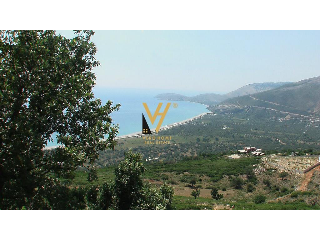 POZEMEK 250 000 M2 S 26% VE SPOLEČENSTVÍ K DISPOZICI