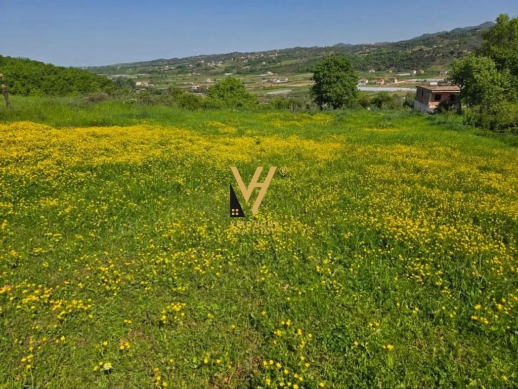 sub-property