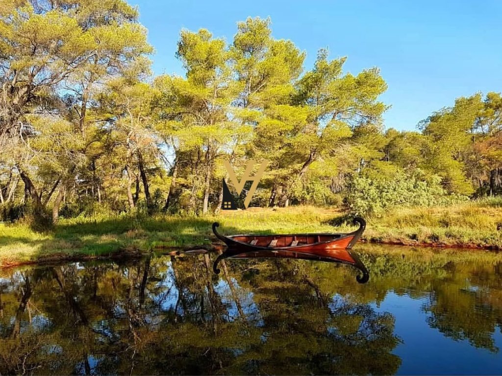 LAND FOR SALE 100,000 M2 IN DIVJAKE, FIER 500,000 EURO