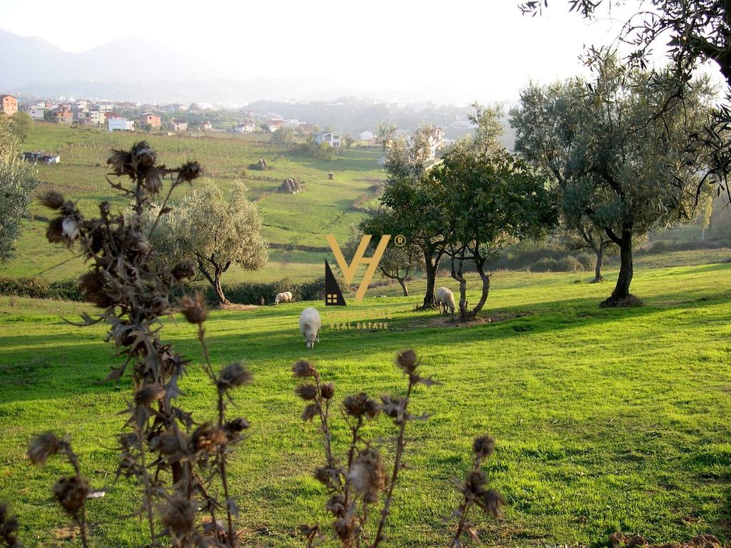 LAND FOR SALE 6,000 M2 IN FSHATI I RI, FARKE